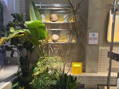 -自然椰·海南清补凉(明珠店)