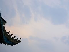 -武汉大学-樱园