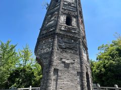 -上海佘山国家森林公园天马山园