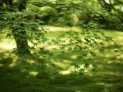 -三千院