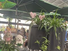 -京北渔家傲