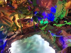 -恐龙探索乐园(磁器口店)