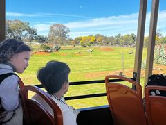 -威勒比开放式动物园