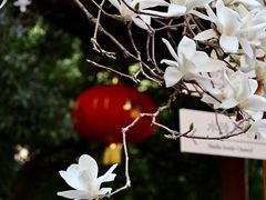 -龙华寺