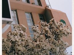 -芳草地国际学校世纪小学