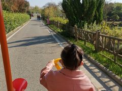 -武汉紫薇都市田园