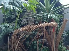 -北京湖广会馆