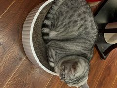 -H立方实景剧情密室(天河旗舰店)