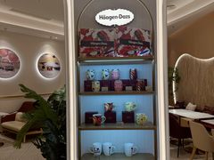 -哈根达斯(济南万象城店)