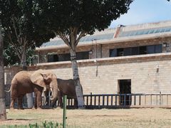 -石家庄市动物园