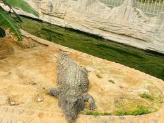 -石家庄市动物园