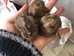 -双福水果批发市场