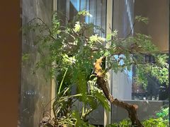 -海立阁海鲜江浙菜(漕河泾印象城店)