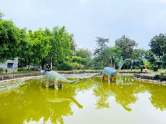 -自贡恐龙博物馆