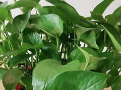 -兴芮温泉度假区