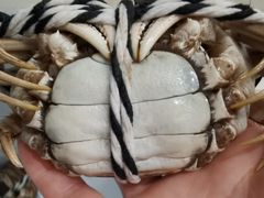 -七的湖·晚芳亭·阳澄湖农家菜·大闸蟹(莲花岛店)