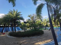 -宝安西湾红树林湿地公园