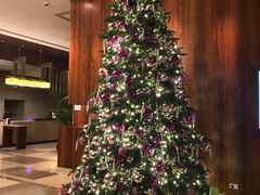 -香港尖沙咀凯悦酒店