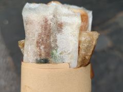 -孙奶奶葱包桧
