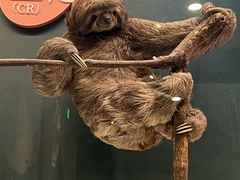 -国家自然博物馆