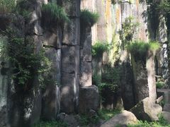 -望天鹅景区