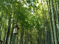 -宝岩生态观光园