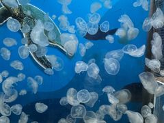 -正佳极地海洋世界