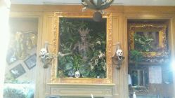 点击看大图 -新肤洗纹身