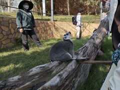-南京金牛湖风景区