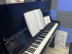 -缪斯琴行英皇小提琴.钢琴.吉他(张江店)