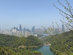 -桃花岭景区