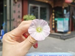 -京门老爆三·铜锅涮肉 爆肚(望京店)