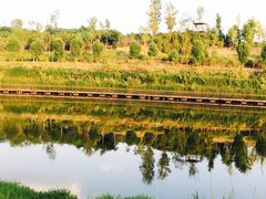 -白鹭湾湿地公园