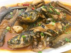 -新富汇西郊公馆(怡甸别墅店)