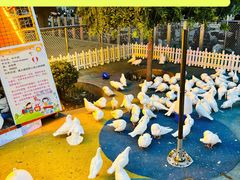 -北京华联购物中心(同成街店)