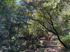 -北京西山国家森林公园