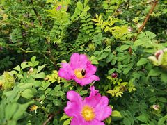 -贵阳市花溪国家城市湿地公园