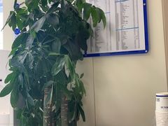 -欢乐口腔(望京分院)