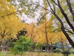 -堤角公园