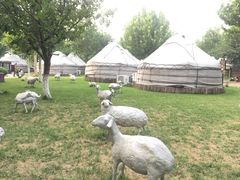 -九十九顶毡房(阜石路店)