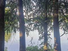 -苏州太湖国家湿地公园