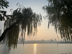 -天鹅湖体育公园