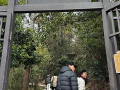 -玉苍山国家森林公园