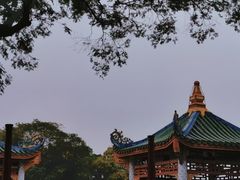 -中山公园