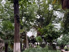 -苏州图书馆(人民路总馆)