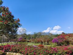 -中国科学院西双版纳热带植物园