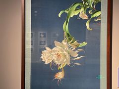 -深圳博物馆(古代艺术馆)