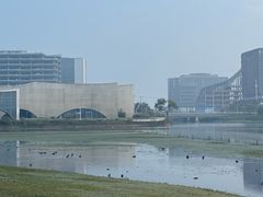 -春花秋色城市公园