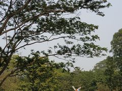 -东莞植物园