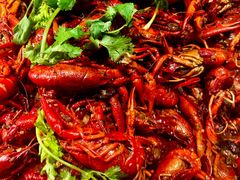 -星伦多自助料理(爱琴海店)